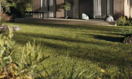 Идеальный газон своими силами